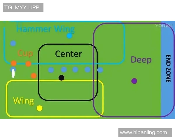 武汉飞盘队反击体系的战术解析与实战应用探讨